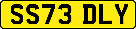 SS73DLY
