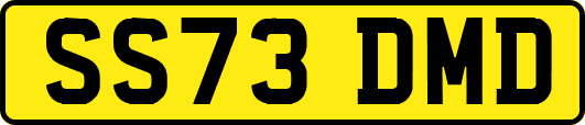 SS73DMD