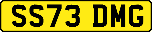 SS73DMG