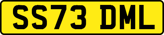 SS73DML