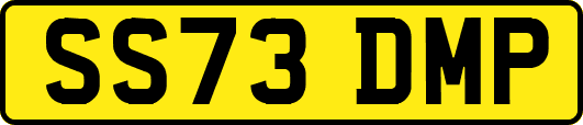 SS73DMP
