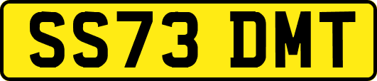 SS73DMT