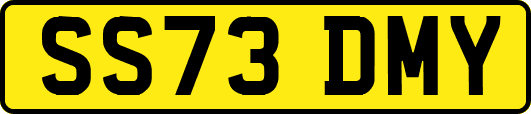 SS73DMY
