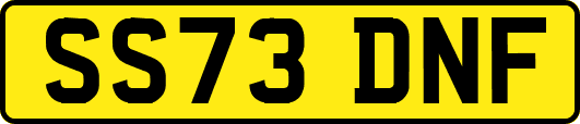 SS73DNF