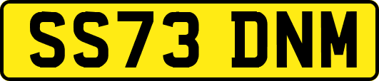 SS73DNM