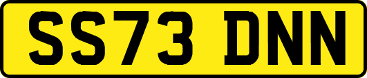 SS73DNN