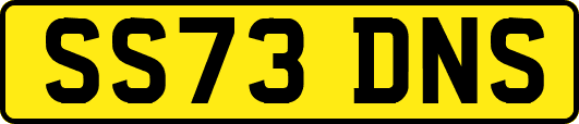 SS73DNS