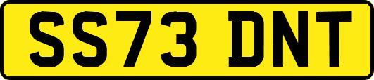SS73DNT
