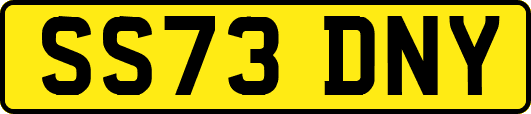 SS73DNY