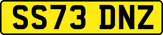 SS73DNZ