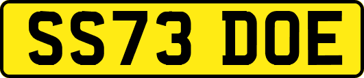 SS73DOE
