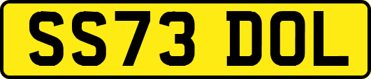 SS73DOL