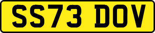 SS73DOV