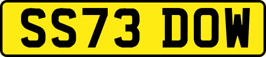 SS73DOW