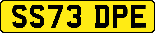 SS73DPE