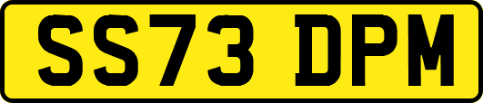 SS73DPM