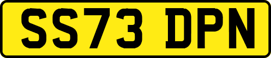 SS73DPN