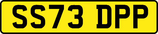SS73DPP