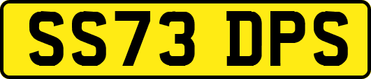 SS73DPS
