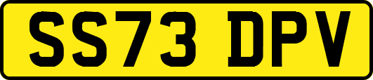 SS73DPV