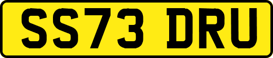 SS73DRU