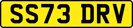 SS73DRV