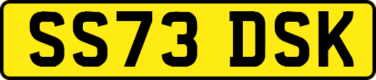 SS73DSK