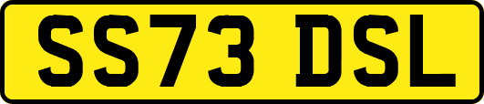 SS73DSL