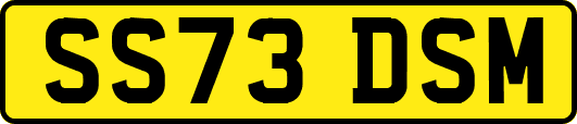 SS73DSM
