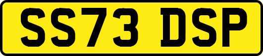 SS73DSP