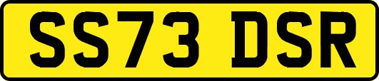 SS73DSR