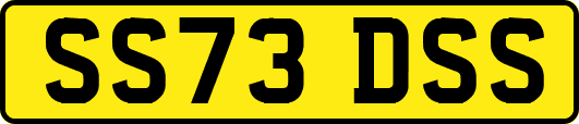 SS73DSS