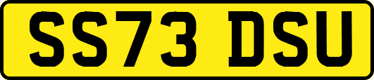 SS73DSU