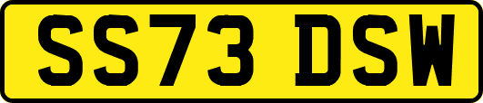 SS73DSW