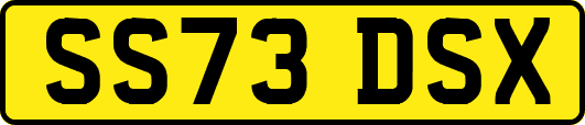 SS73DSX