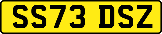 SS73DSZ