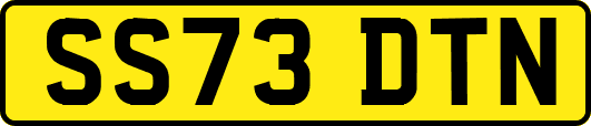 SS73DTN