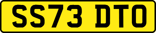 SS73DTO