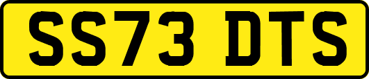 SS73DTS