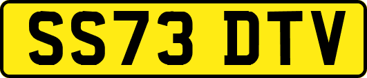 SS73DTV