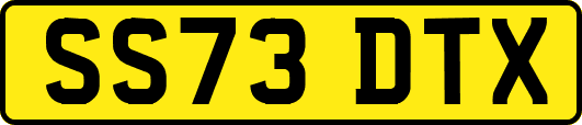 SS73DTX
