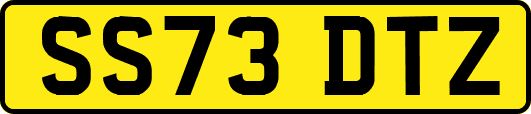 SS73DTZ