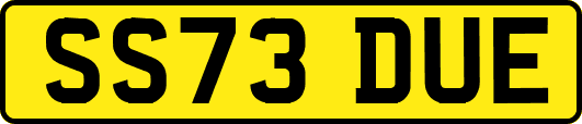 SS73DUE