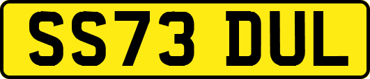 SS73DUL