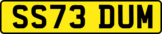 SS73DUM