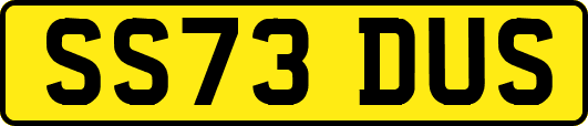 SS73DUS