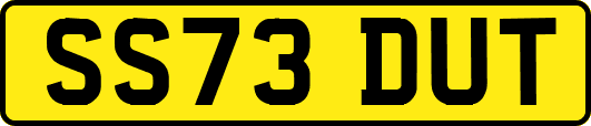 SS73DUT