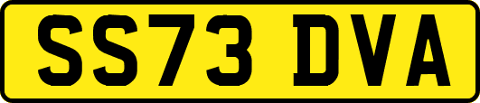 SS73DVA
