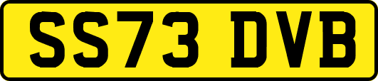 SS73DVB