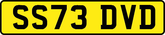 SS73DVD